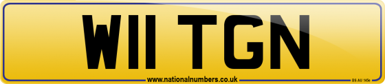 W11 TGN