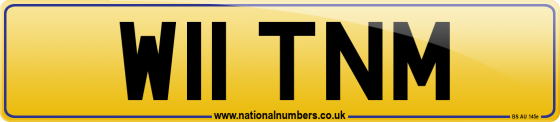 W11 TNM