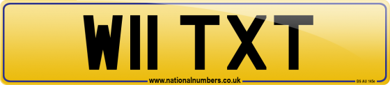 W11 TXT