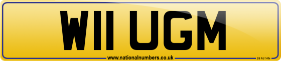 W11 UGM