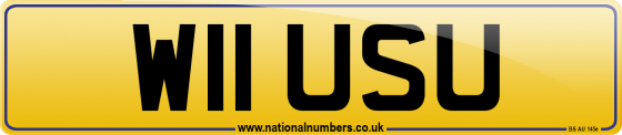 W11 USU