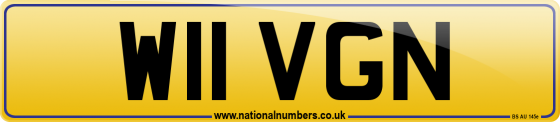 W11 VGN