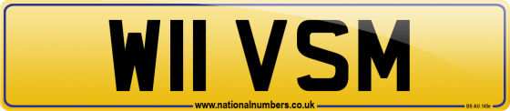 W11 VSM