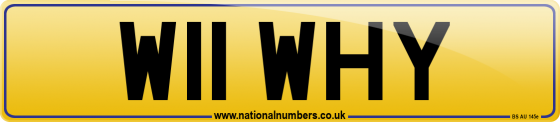 W11 WHY