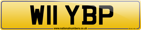 W11 YBP