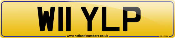 W11 YLP