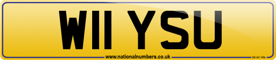 W11 YSU