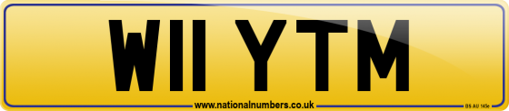 W11 YTM