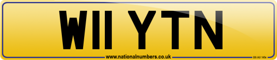 W11 YTN