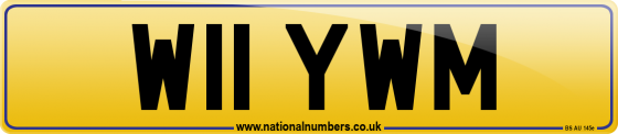 W11 YWM