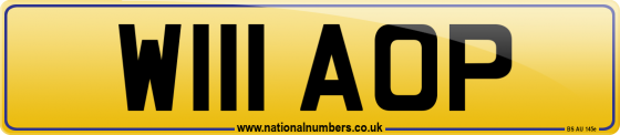 W111 AOP