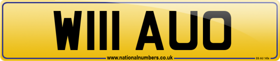 W111 AUO