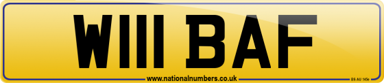 W111 BAF