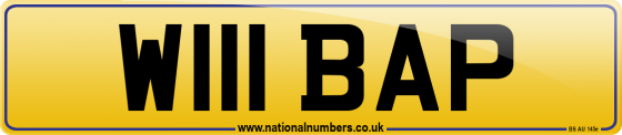 W111 BAP