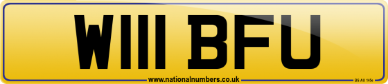 W111 BFU