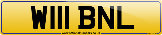 W111 BNL