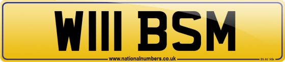 W111 BSM