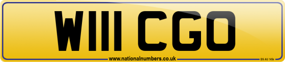 W111 CGO
