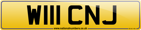 W111 CNJ