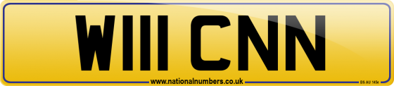W111 CNN