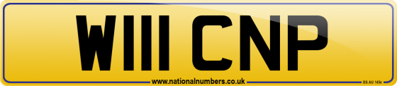 W111 CNP