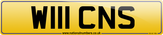 W111 CNS
