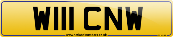 W111 CNW