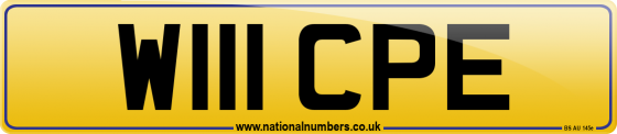 W111 CPE