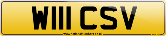 W111 CSV