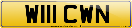 W111 CWN