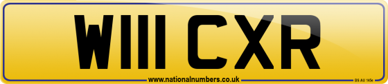 W111 CXR