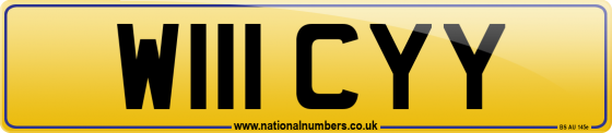 W111 CYY