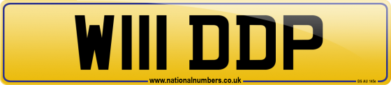 W111 DDP