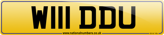 W111 DDU