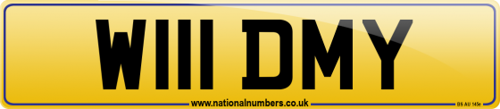 W111 DMY