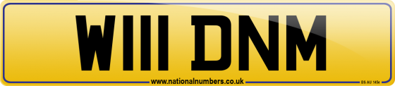 W111 DNM