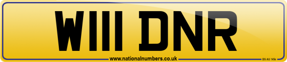 W111 DNR