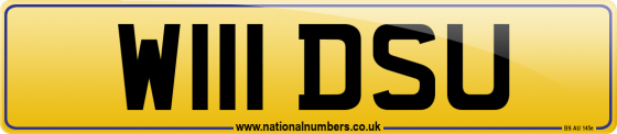 W111 DSU