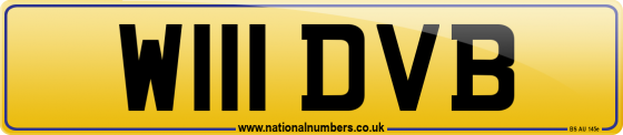 W111 DVB