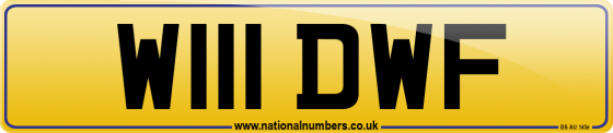 W111 DWF