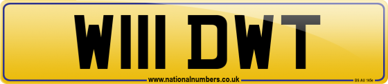 W111 DWT