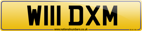 W111 DXM