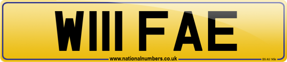 W111 FAE