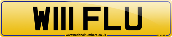 W111 FLU