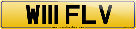 W111 FLV
