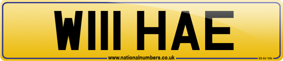 W111 HAE