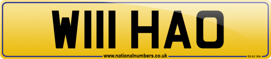 W111 HAO