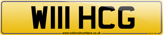 W111 HCG