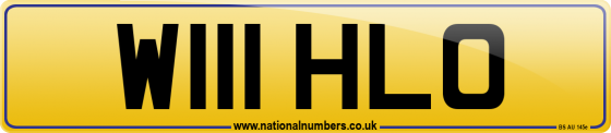 W111 HLO