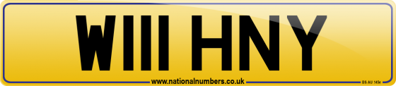 W111 HNY